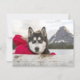 Husky-Gebirge Postkreuz Postkarte