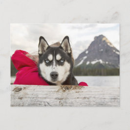 Husky-Gebirge Postkreuz Postkarte