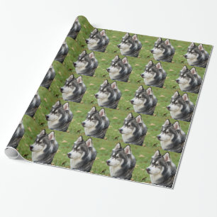 Husky Geschenkpapier
