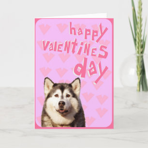 Husky-glückliche Valentinstag-Gruß-Karte Feiertagskarte