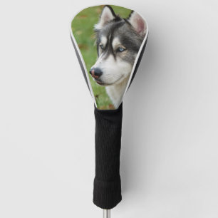 Husky Golf Headcover