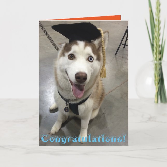 Husky graduated class karte (Vorderseite)