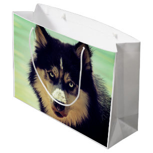 Husky Große Geschenktüte