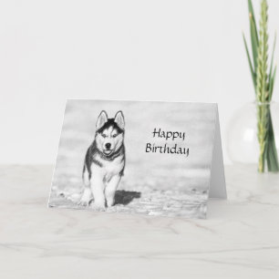 Husky Happy Birthday Card Karte