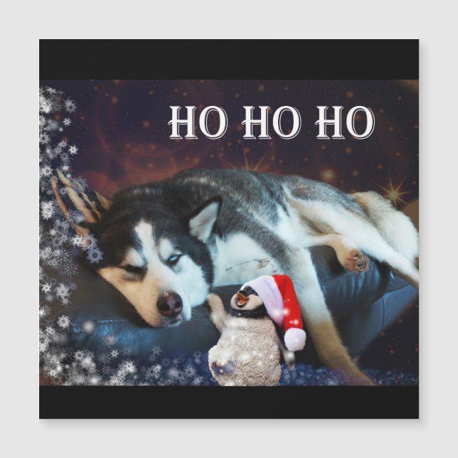 Husky Humbug Christmas Magnetic Card Magnetkarte (Vorderseite)