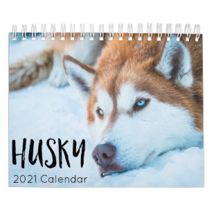 Husky Hund 2021 Kalender