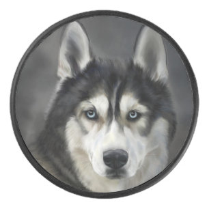 Husky Hund Großer Hund Tier Haustier Eishockey Puck