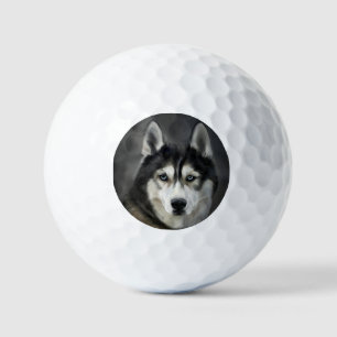 Husky Hund Großer Hund Tier Haustier Golfball