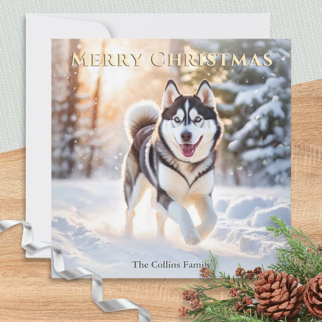 Husky Hund im Winter Schnee frohe Weihnachten (An elegant Christmas card with picture of a Husky dog in the winter snow)