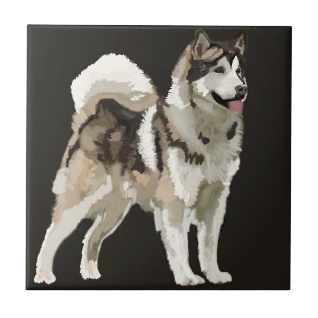Husky Hund Keramik Foto Tile Fliese (Vorderseite)