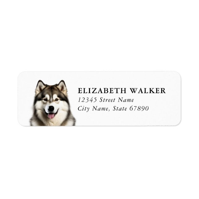 Husky-Hund-Rücksende-Adressetiketten (Vorne)