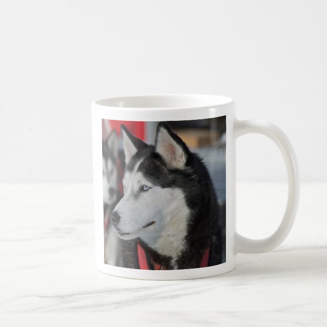 Husky Hund vor dem Rennen, Kanada Tasse (Rechts)