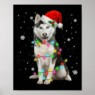 Husky Hund Weihnachtsmannmütze Weihnachtsbaum Weih Poster