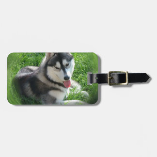 Husky-HundeGepäckanhänger Gepäckanhänger