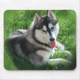 Husky-Hundemausunterlage Mousepad