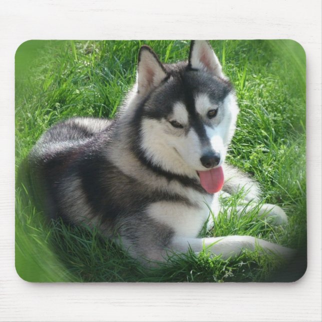 Husky-Hundemausunterlage Mousepad (Vorne)