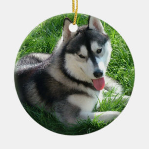 Husky-Hundeverzierung Keramikornament