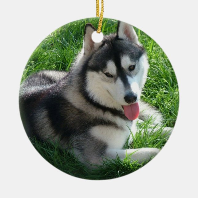 Husky-Hundeverzierung Keramikornament (Vorne)