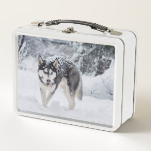 Husky im Schnee Metall Brotdose