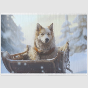 Husky in Sleigh 1 Dekoupage Paper Seidenpapier