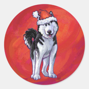 Husky in Weihnachtsmannmütze auf Rot Runder Aufkleber