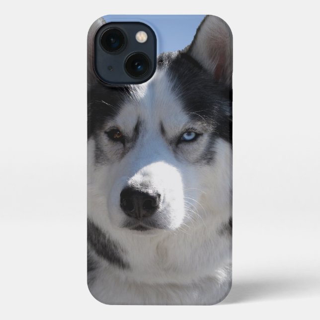 Husky iPhone Case Custom Husky Malamute Hüllen Hülle (Rückseite)