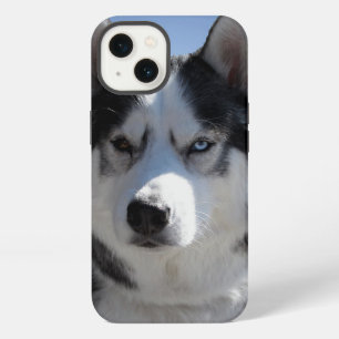 Husky-iPhone-Hülle Benutzerdefinierte Husky Malamu iPhone 13 Hülle