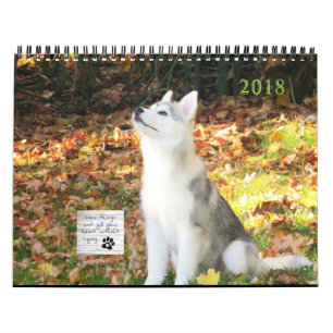 Husky-Kalender Kalender