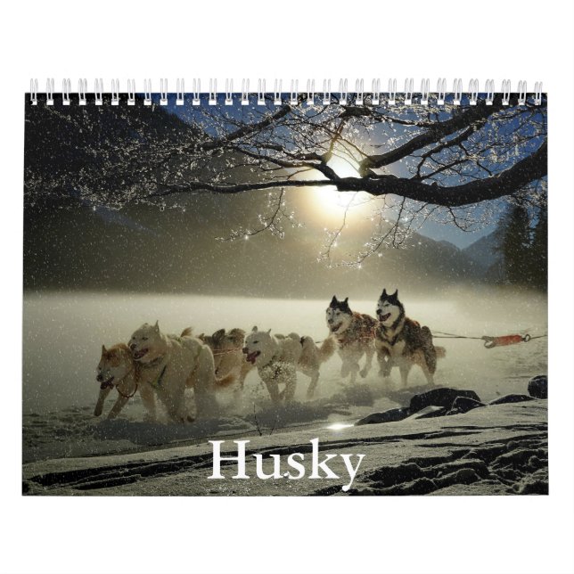 Husky-Kalender Kalender (Titelbild)