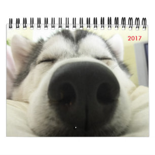 Husky-Kalender Kalender