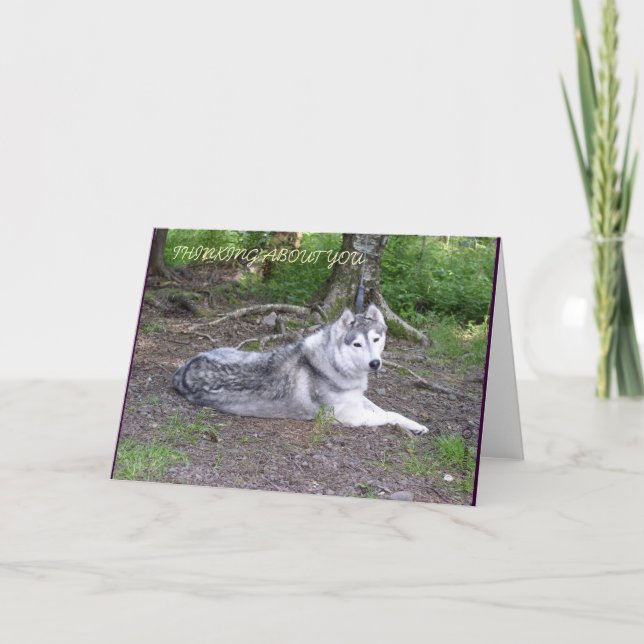 HUSKY-KARTE KARTE (Vorderseite)