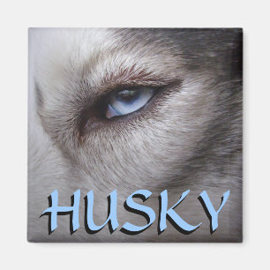 Husky Kühlschrankmagnet Alaskan Sled Dog Magnet / 