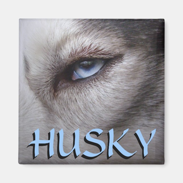 Husky Kühlschrankmagnet Alaskan Sled Dog Magnet /  (Vorne)