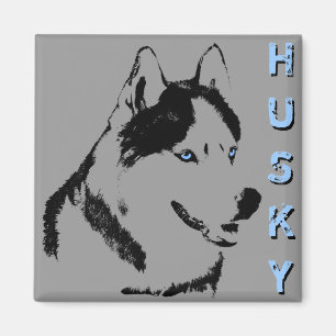 Husky Kühlschrankmagnet Alaskan Sled Dog Magnet / 