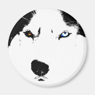 Husky Kühlschrankmagnet Alaskan Sled Dog Magnet / 