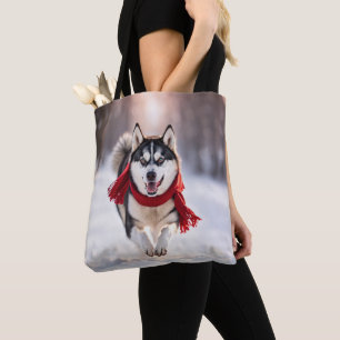 Husky läuft mit rotem Schal