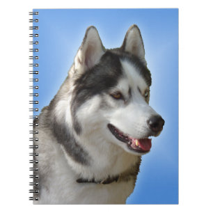 Husky Notebook Siberian Husky Gifts & Books Notizblock