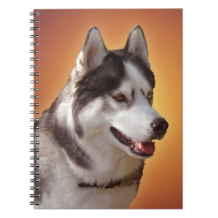 Husky Notebook Siberian Husky Gifts & Books Notizblock