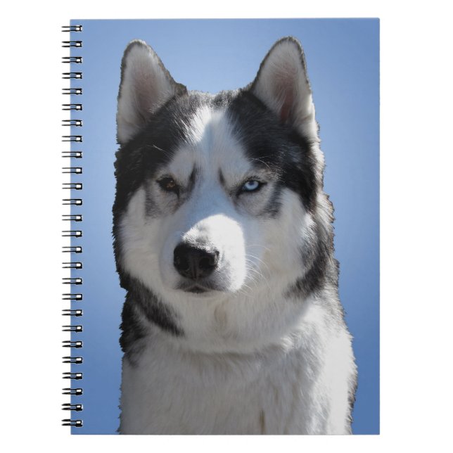 Husky Notebook Siberian Husky Journal Sleddog Book Notizblock (Vorderseite)
