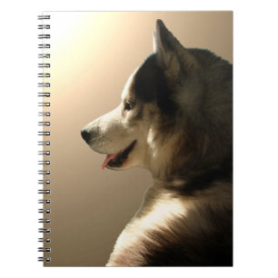 Husky Notebook Siberian Husky Pup Journal Book Notizblock