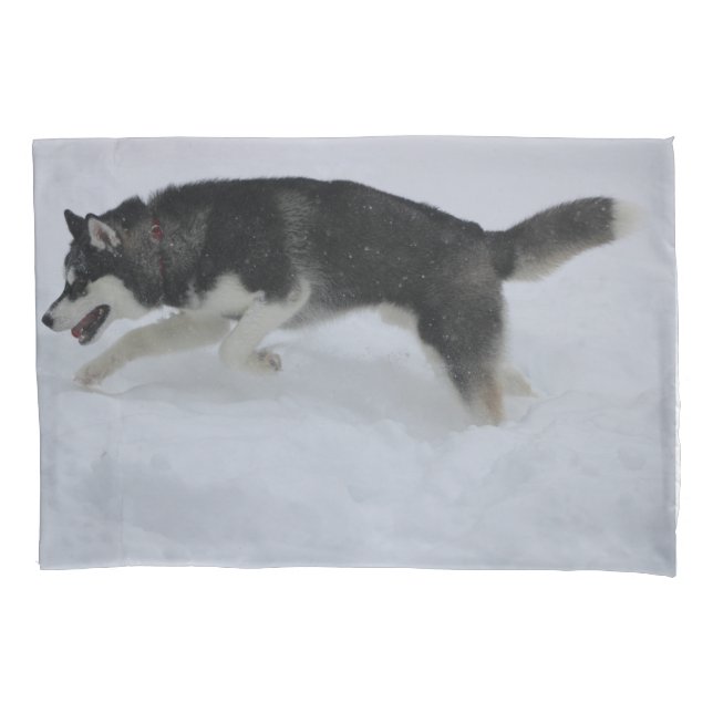 Husky Pillow Case Kissenbezug (Vorderseite)