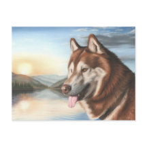 Husky Postcard