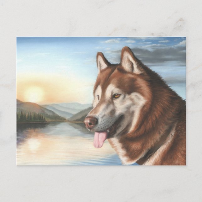 Husky Postcard Postkarte (Vorderseite)