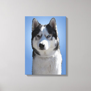 Husky Print Stretched Husky Malamute Dog Leinwand