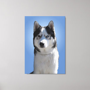 Husky Print Stretched Husky Malamute Dog Leinwand