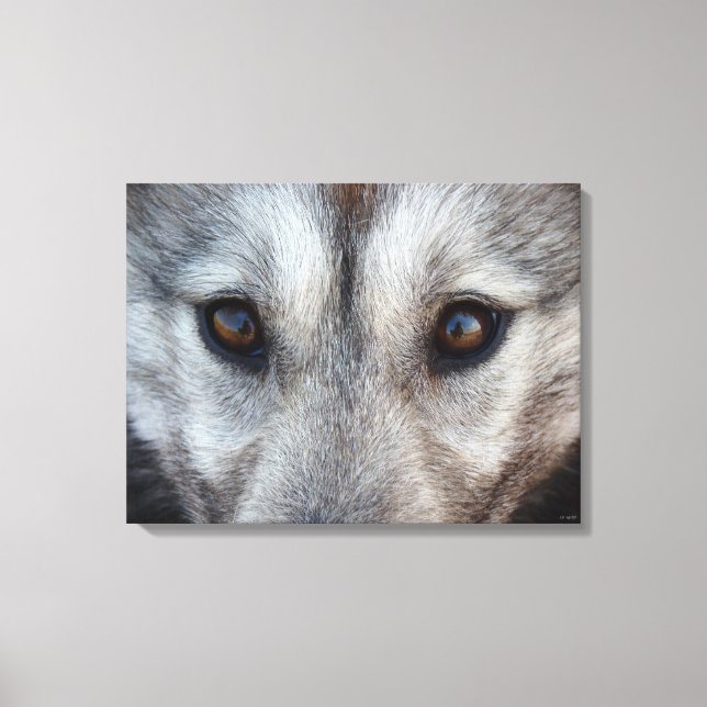 Husky Pup Print Husky Wolf Pup Canvas Print Leinwanddruck (Vorderseite)