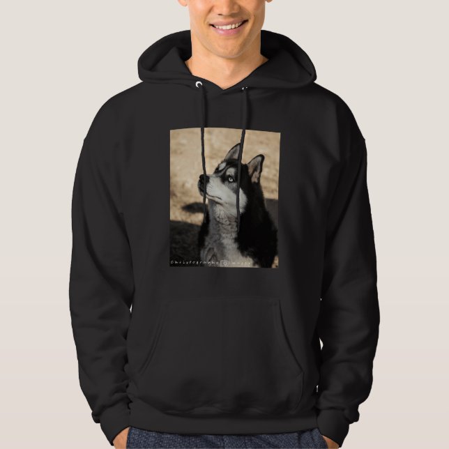 Husky Pup Scoop Hoodie (Vorderseite)