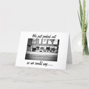 HUSKY PUPPIES KOMMEN ZU SAGEN, NUR CHRISTMAS FEIERTAGSKARTE