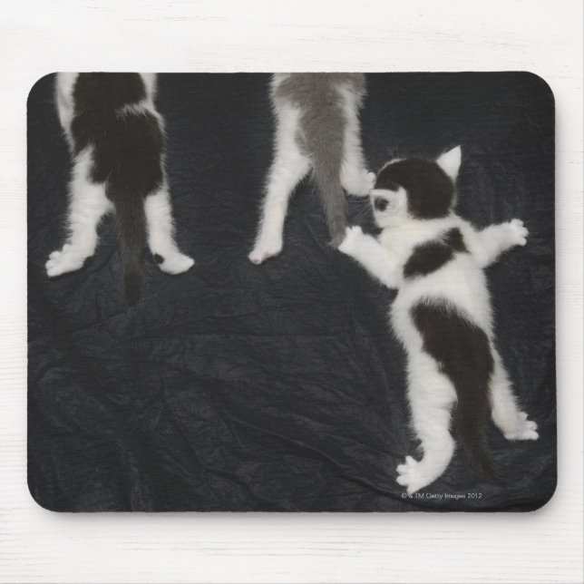 Husky Puppy Mousepad (Vorne)