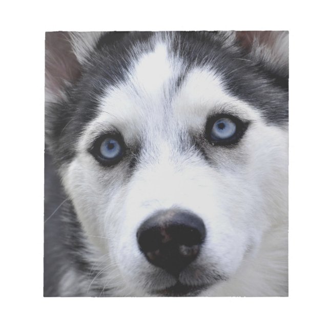 Husky Puppy Notepad Notizblock (Vorderseite)